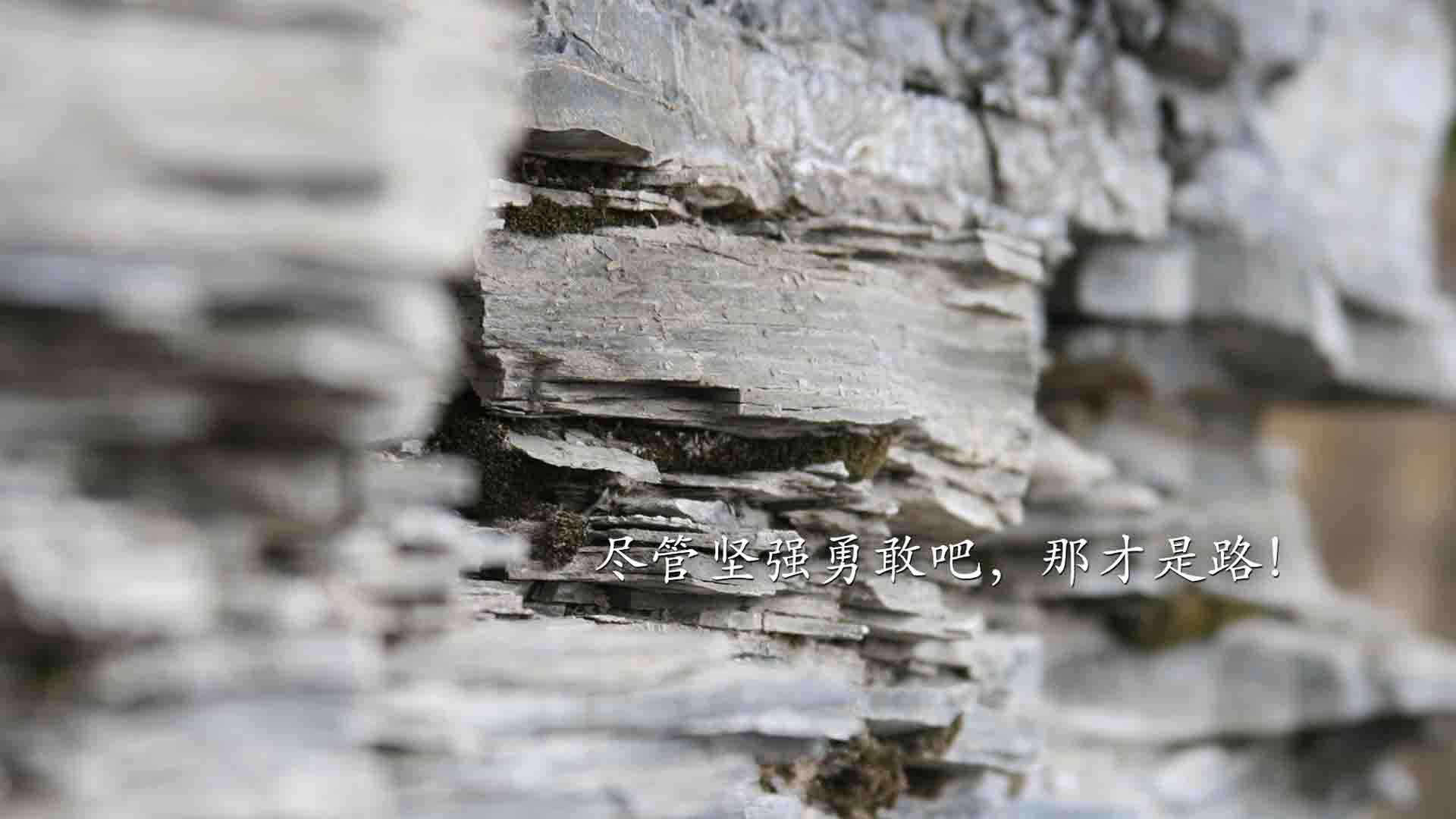 leyu乐鱼-欧国联赛球员状态神勇，助力球队取胜，欧国联 赛程