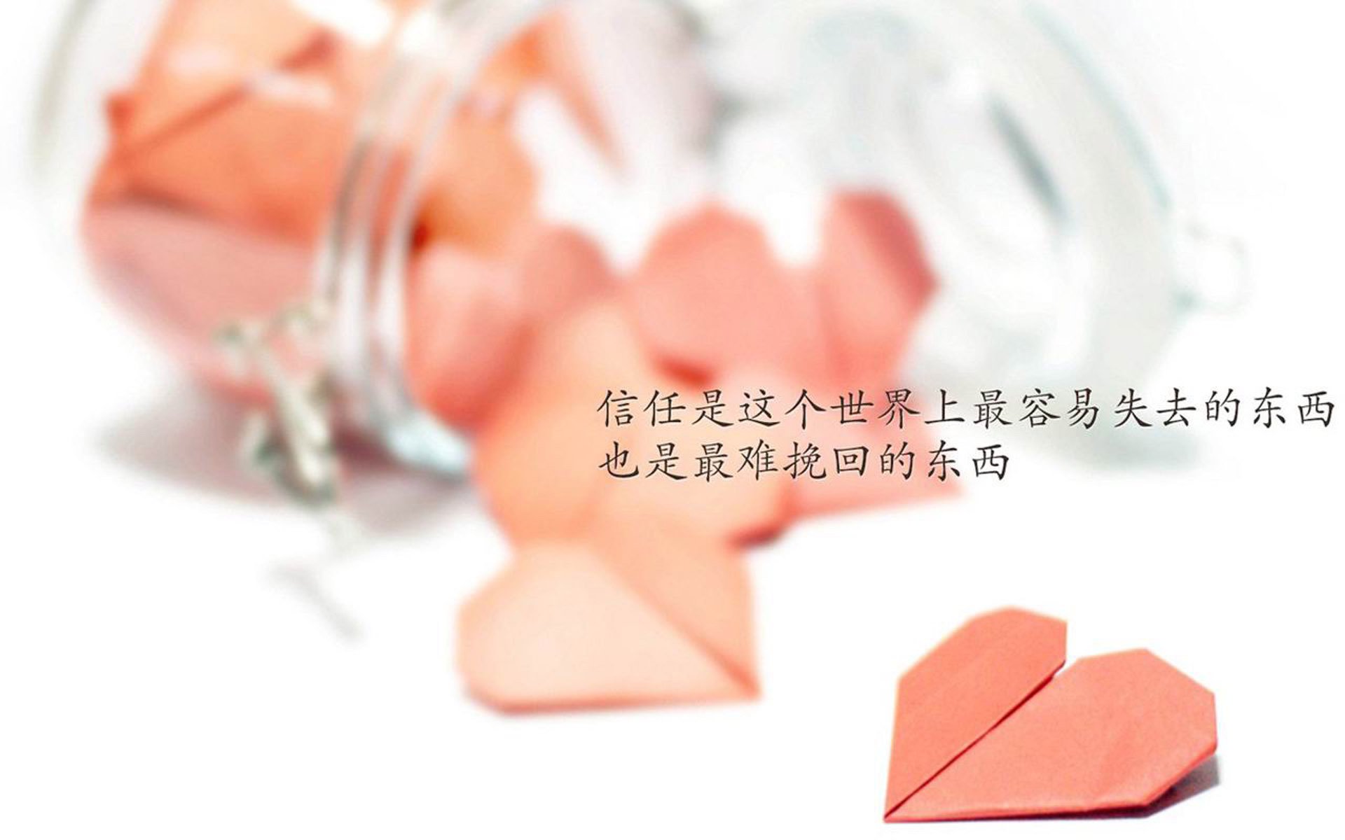中国篮球青少年培训质量保障机制，中国篮球青少年培训质量保障机制是什么