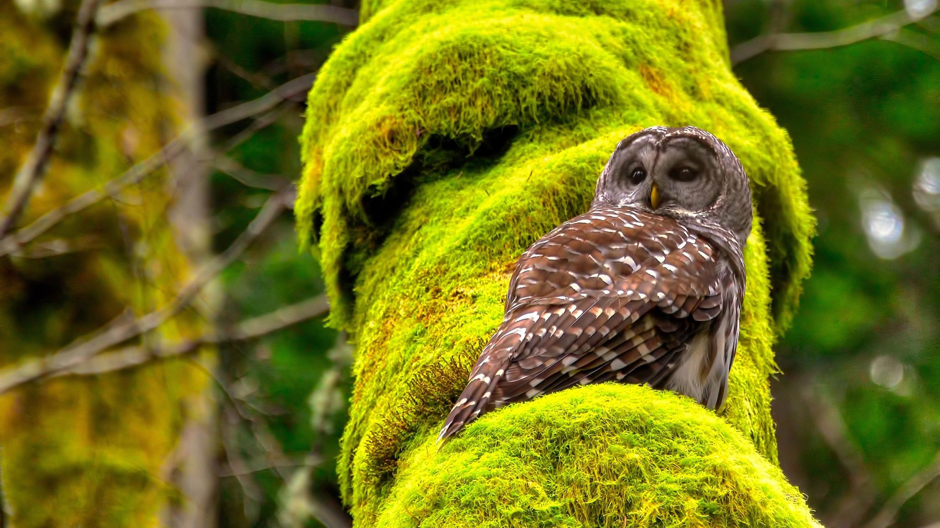 中超比赛技战术使用频次统计,中超有效比赛时长