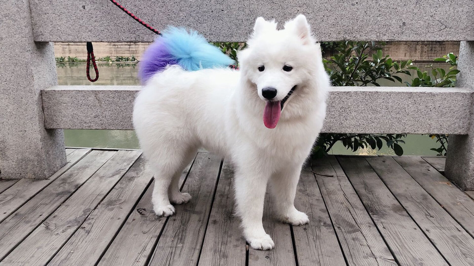 乐鱼体育APP官方下载-中国男篮强调训练强度控制伤病风险，中国男篮面临一个可怕的对手