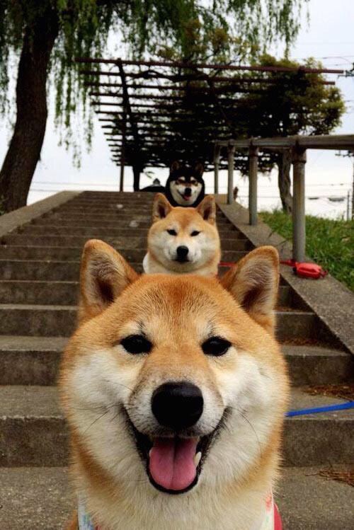 LEYU SPORTS中国官方网站-倒三角中场形成控场优势,倒三角管理模式是什么