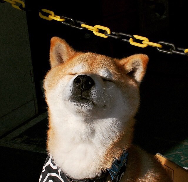 国家男篮海外拉练提升抗压能力与对抗强度,男篮国家队外籍教练