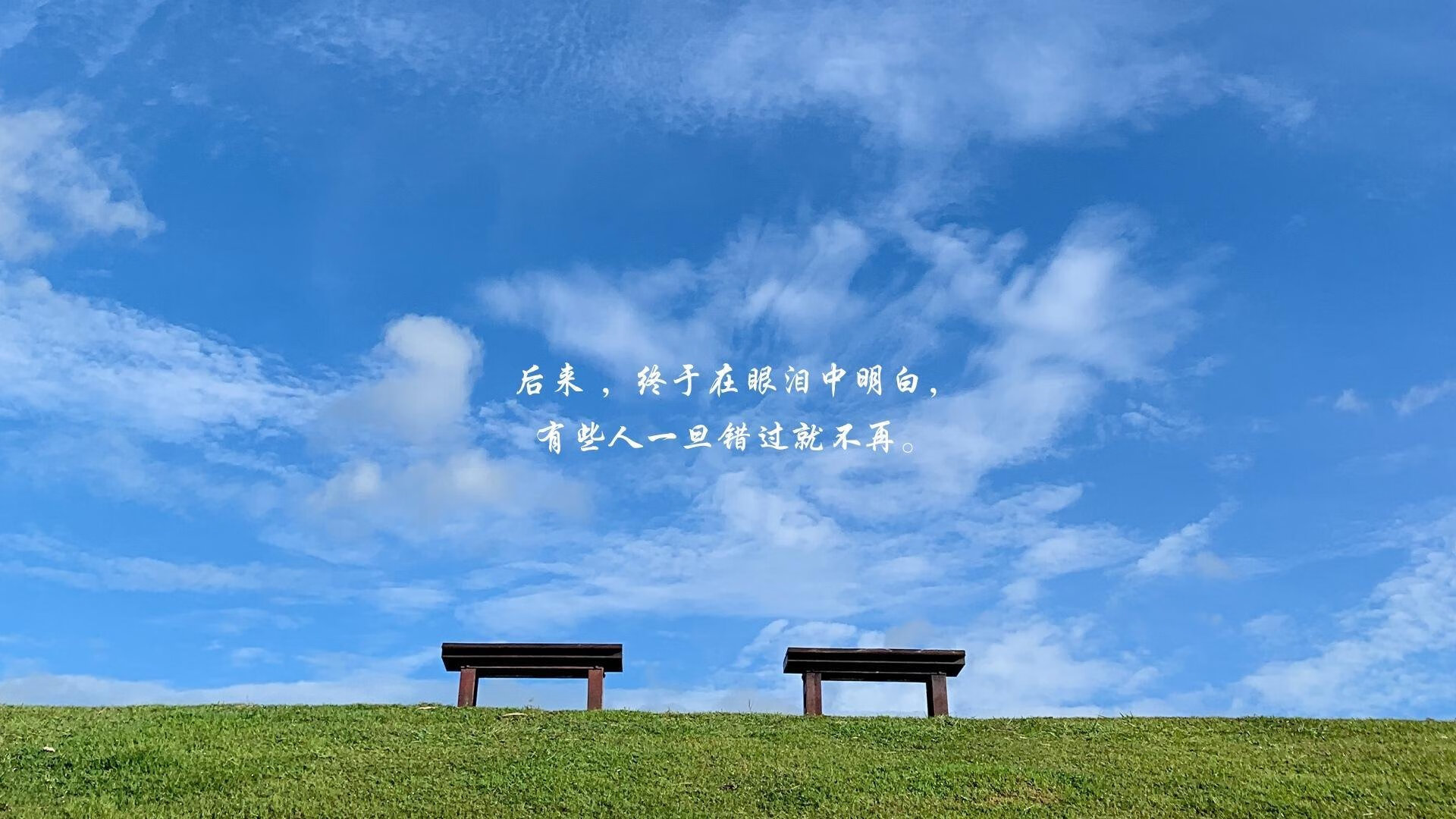 女子篮球联盟引入国际先进战术理念丰富打法,女子篮球联赛叫什么