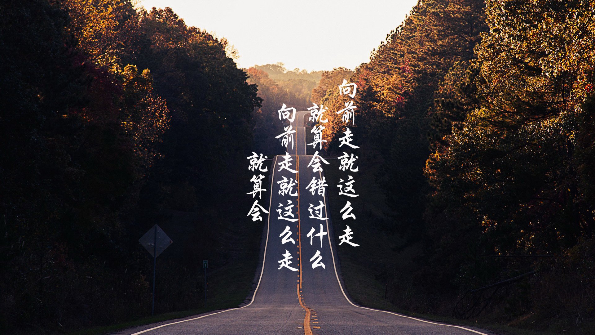 荷兰队在欧洲预赛中表现优异,晋级希望提升